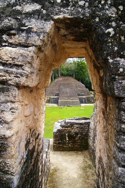 Templo Maya — Foto de Stock