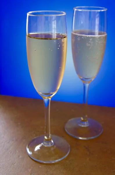 Iki şampanya bardağı mavi ve beyaz zemin üzerine — Stok fotoğraf