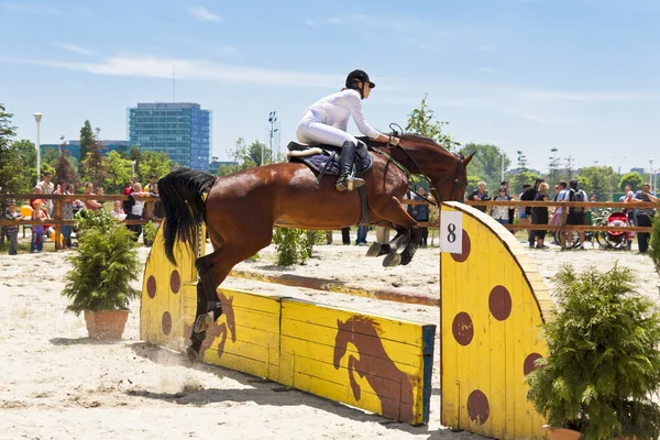 Jockey y salto de caballo —  Fotos de Stock