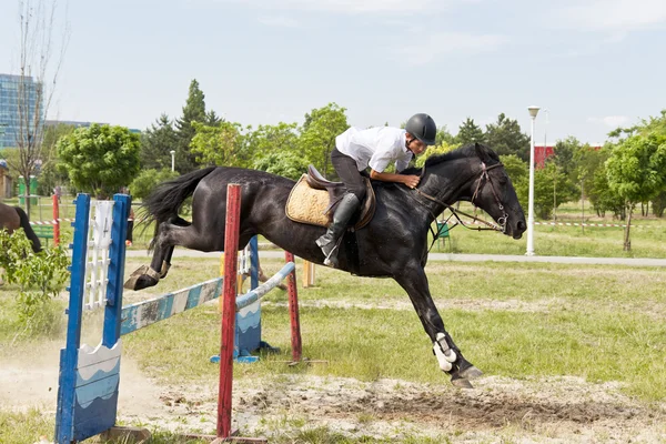 Jockey und Pferdespringen — Stockfoto