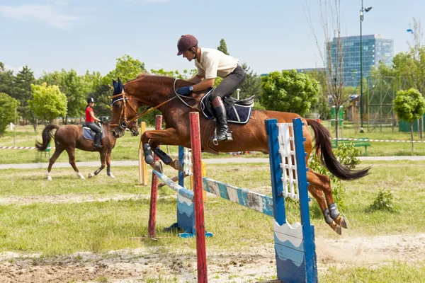 Jóquei e salto a cavalo — Fotografia de Stock
