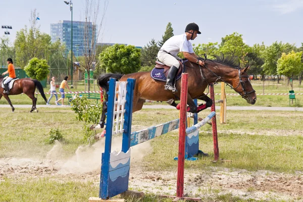 Jockey y salto de caballo —  Fotos de Stock