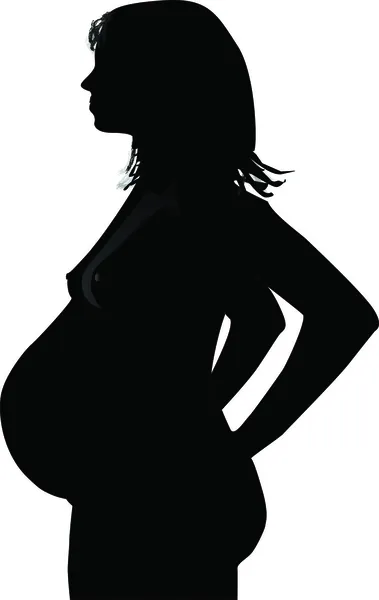 Těhotná žena 3 — Stockový vektor