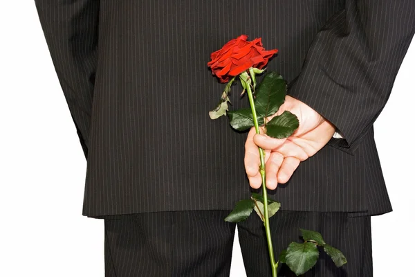 Man verbergen terug rode roos — Stockfoto