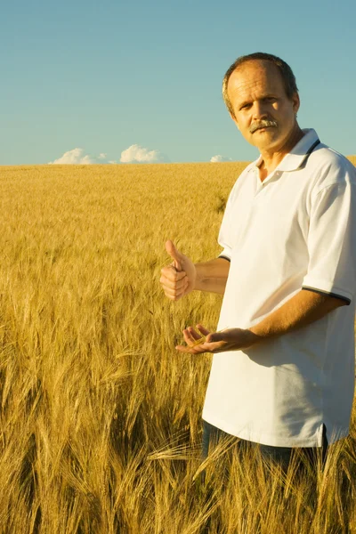 stock image Agriculture