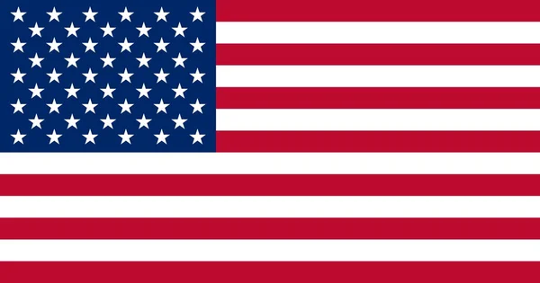 Flag Usa United States America — Stock Vector