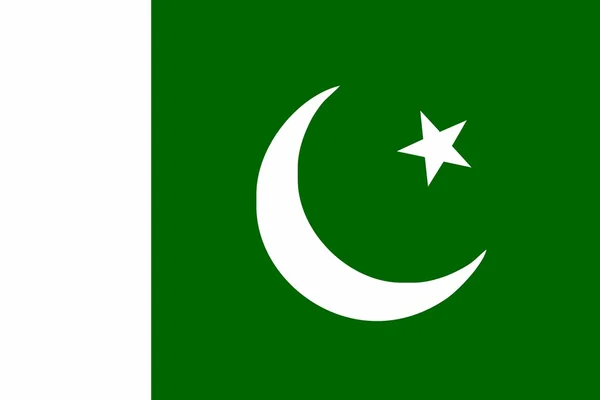 Pakistanische Flagge — Stockvektor