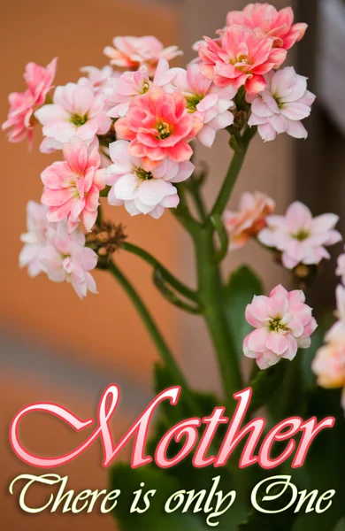 Anneler günü kutlama kartı Stok Fotoğraf