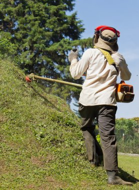 Mowing the Lawn clipart