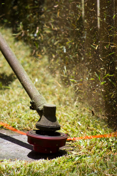 Косить газон
