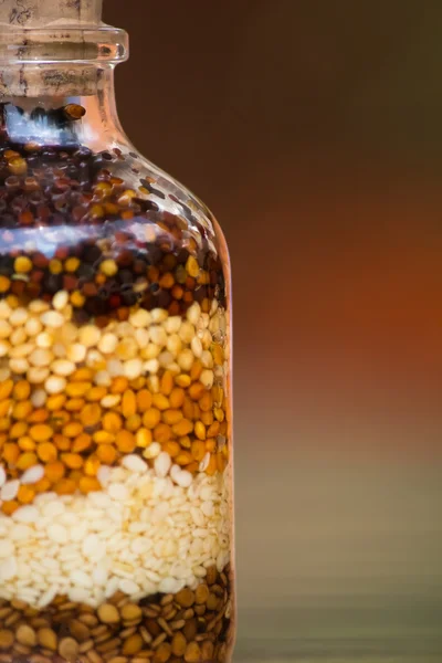 Enfeite de sementes engarrafadas — Fotografia de Stock