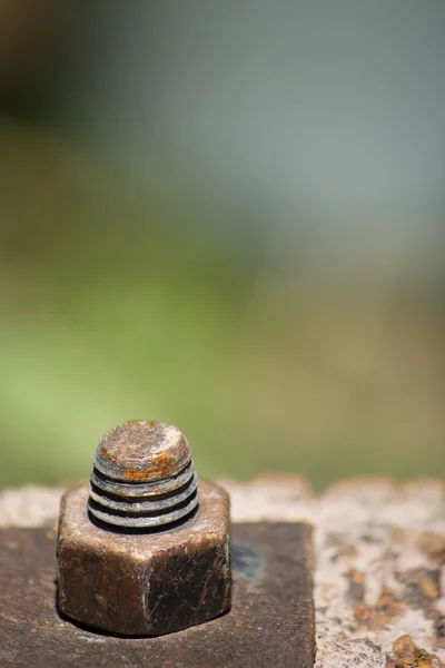 Rusty Nut and Screw — Stock Photo, Image