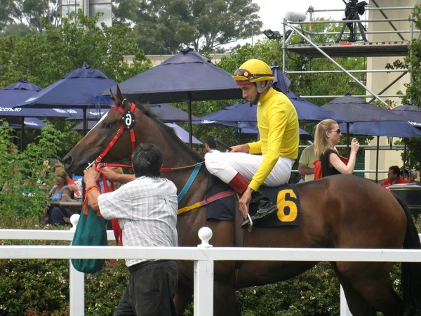 Przed wyścigów konnych — Zdjęcie stockowe