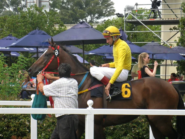 Antes de la carrera — Foto de Stock