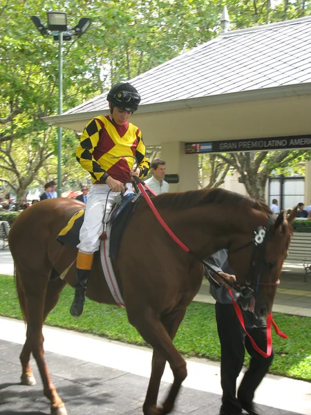 Innan hästen-race — Stockfoto
