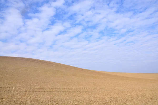 stock image LANDSCAPE