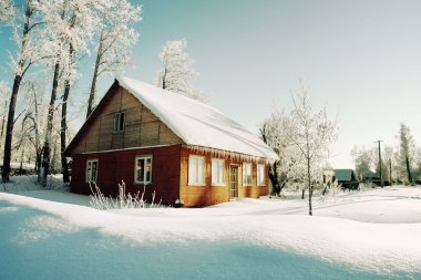 Trees in hoarfrost and red house on morning of winter village clipart