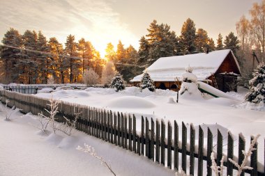 House is surrounded by snow in woods at dawn clipart