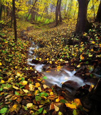 Golden Autumn in woods like a magic world of cartoon clipart