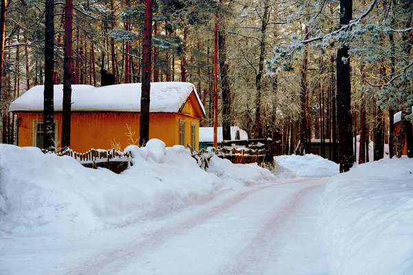 Tourist lodge in the woods in winter — Stock fotografie