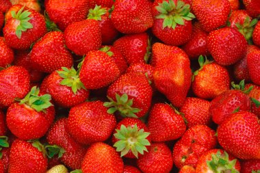 Fresh strawberries. clipart