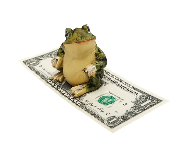 Лягушка и деньги на белом фоне (изолированные ). — стоковое фото