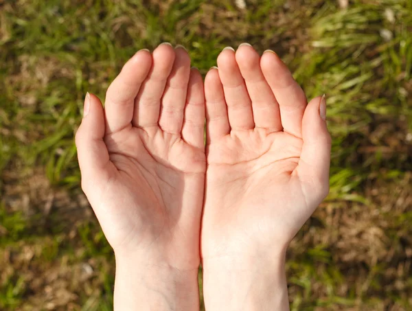 stock image Hands.