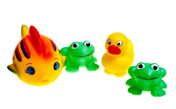 Brinquedos de borracha multicoloridos (rãs, patos, peixes) são isolados em um — Fotografia de Stock