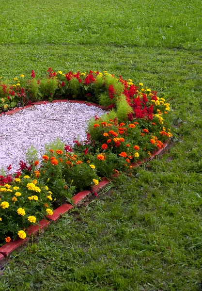 Bed of flowers in the shape of a heart — Stock Photo, Image