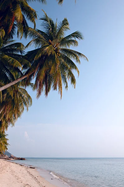 Spiaggia di koh samui — Foto Stock