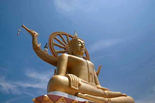 stock image Big buddha statue