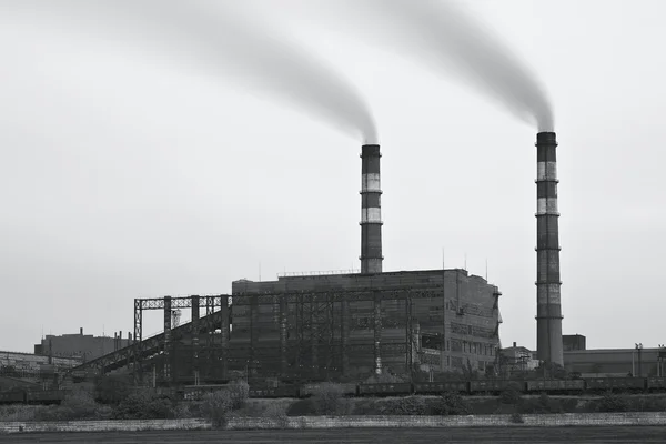 Foto en blanco y negro de la planta con humo —  Fotos de Stock