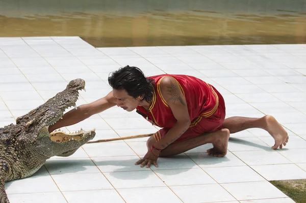 Lutteur de crocodile effectuant un spectacle — Photo