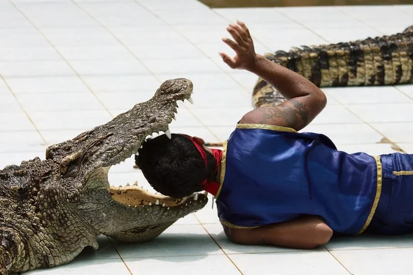 Lutador de crocodilo realizando um show — Fotografia de Stock