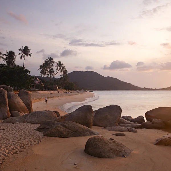 Tropical beach sunrise — Stock Photo, Image