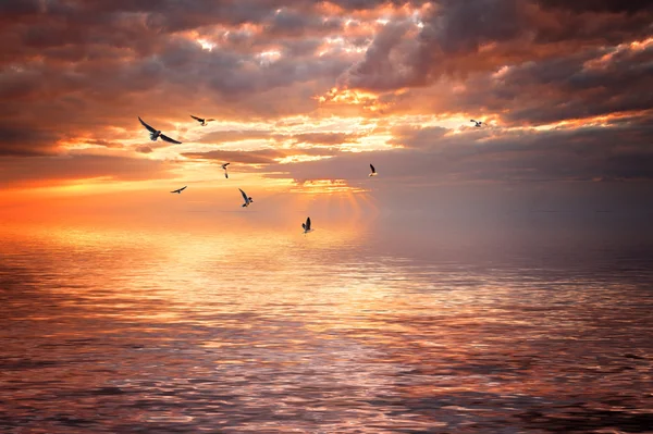 曇りの海の夕日 — ストック写真