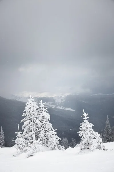 在山的暴风雪天气 — 图库照片
