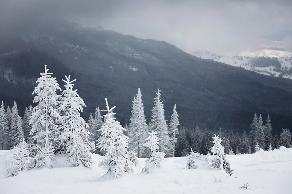 Schneesturmwetter auf den Bergen — Stockfoto