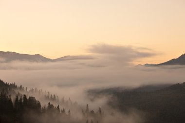 Foggy morning mountain valley clipart