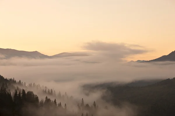 Foggy morning mountain valley — Stock Photo, Image