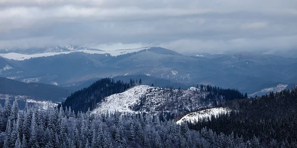 Панорама зимової гірської долини — стокове фото