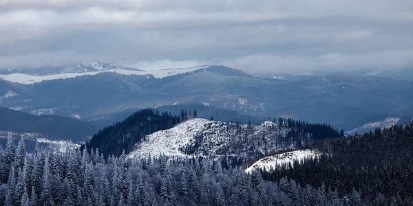 Stock image Panorama of winter mountain valley