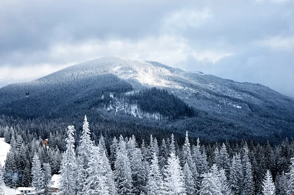 Winter mountain valley landscape