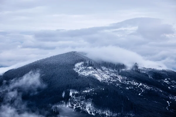 Winter rokerige bergen — Stockfoto