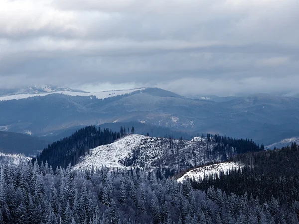 冬の山の谷 — ストック写真