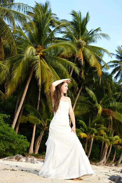 stock image Young bride