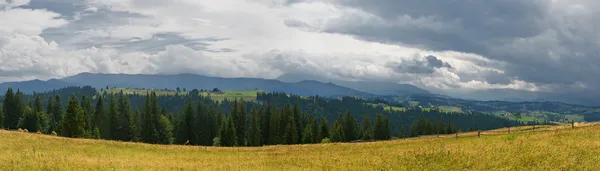 Panorama of mountain valley — Stock Photo, Image