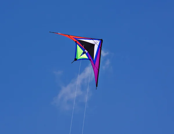 Pipa voadora — Fotografia de Stock