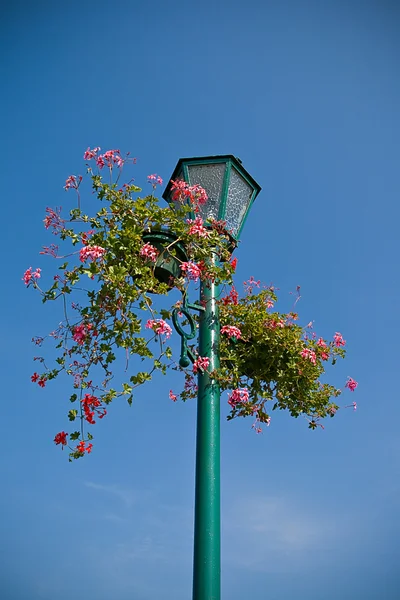 Poste de lámpara con cesta de flores — Foto de Stock