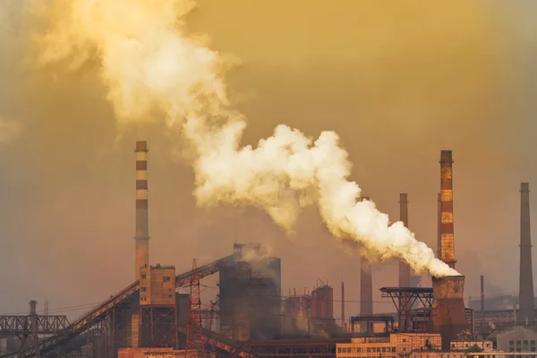 Pianta da fumo con smog bianco — Foto Stock